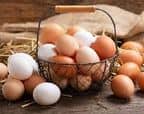 OEUFS