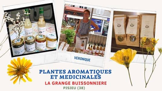 PLANTES